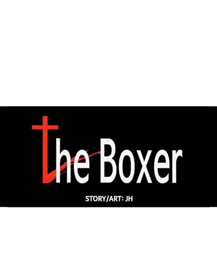 The Boxer 51 35