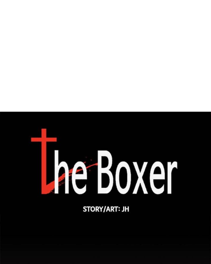 The Boxer 65 28