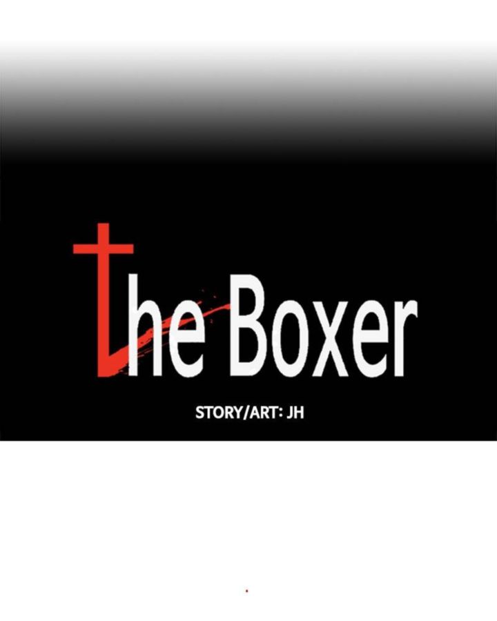 The Boxer 72 8