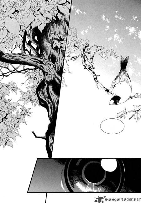The Bride Of The Water God 33 18