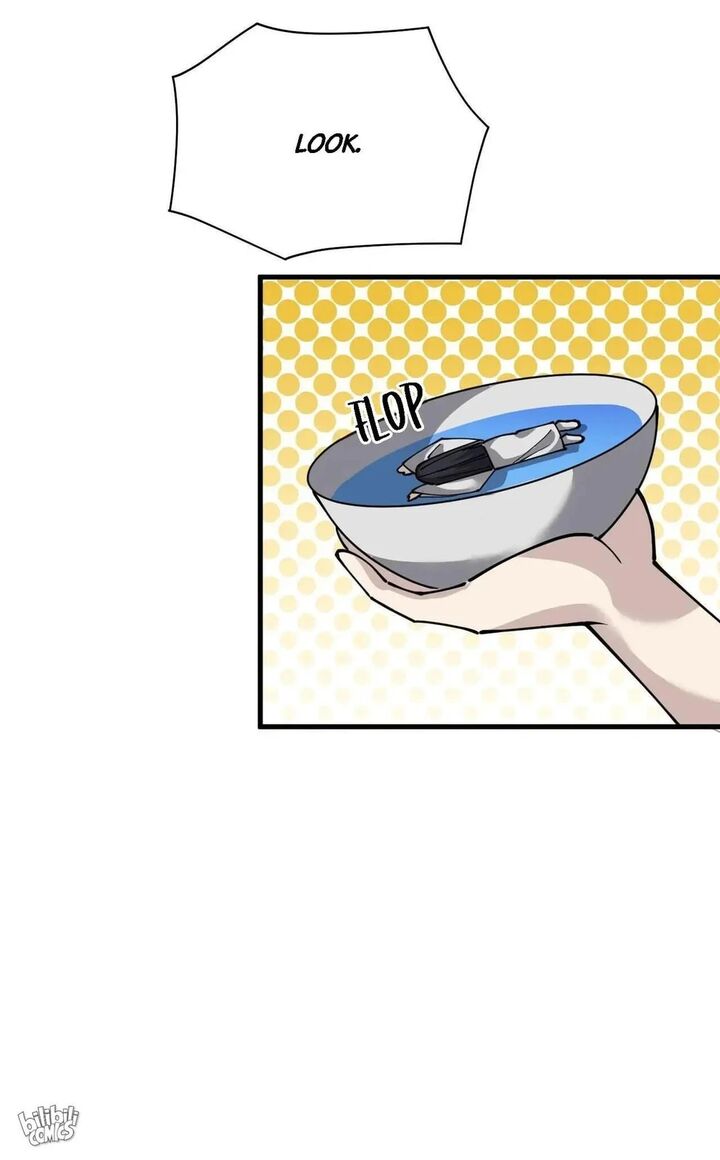 The Daily Life Of Immortal King 242 50