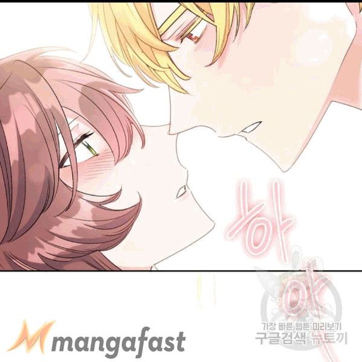 The Duchess 50 Tea Recipes 100 25