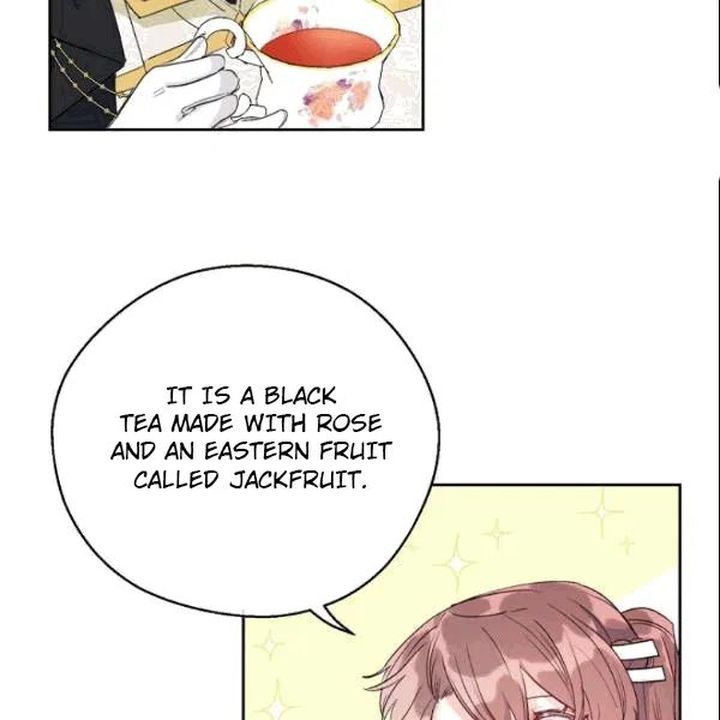 The Duchess 50 Tea Recipes 103 80