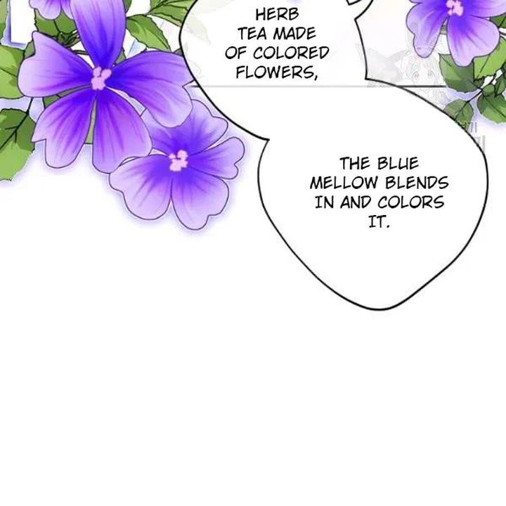 The Duchess 50 Tea Recipes 108 20