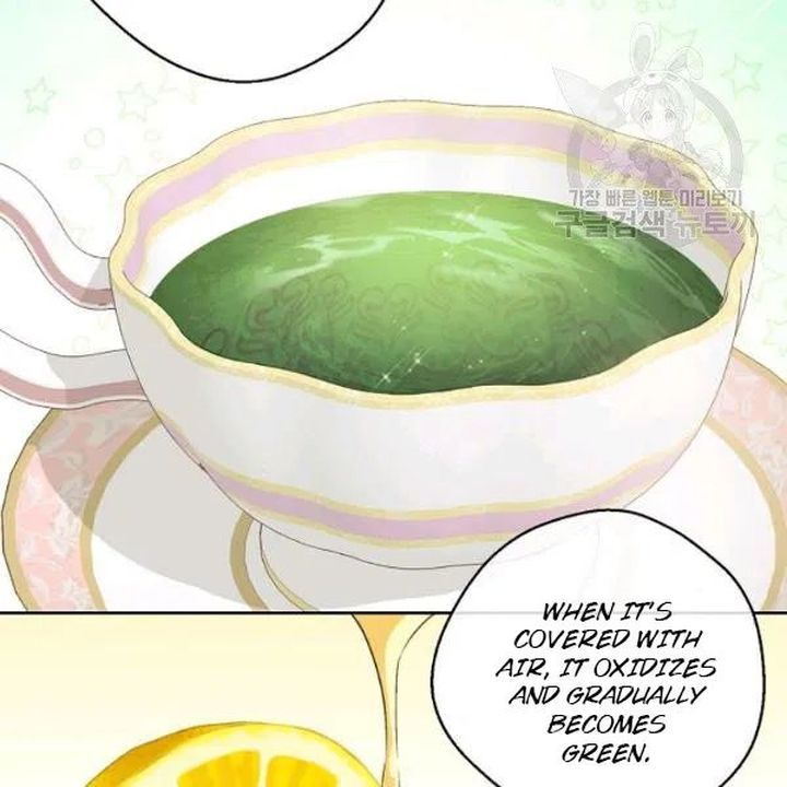 The Duchess 50 Tea Recipes 108 42