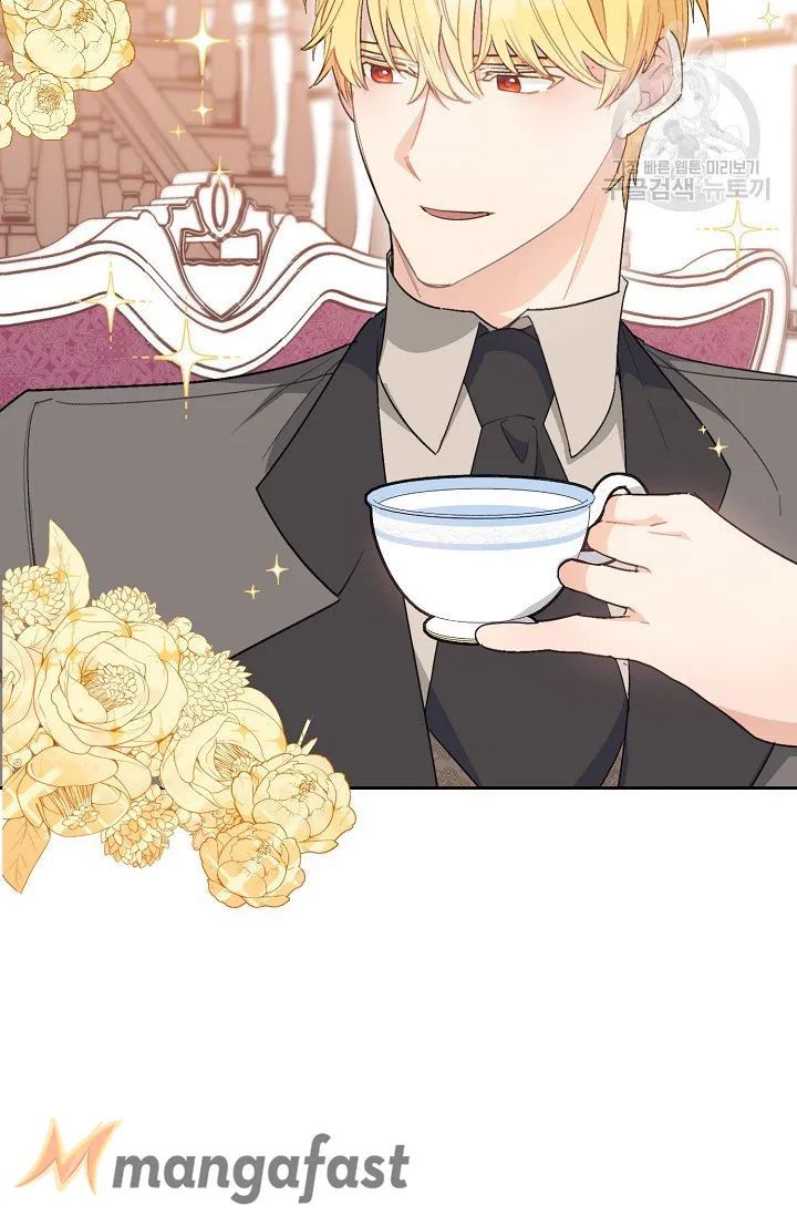The Duchess 50 Tea Recipes 115 88