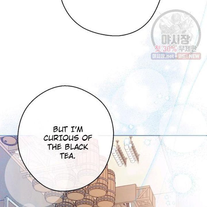 The Duchess 50 Tea Recipes 120 37