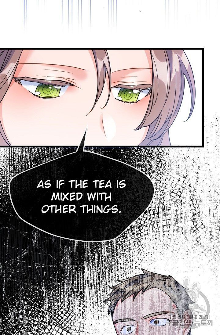 The Duchess 50 Tea Recipes 58 12