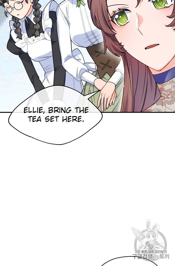 The Duchess 50 Tea Recipes 58 19