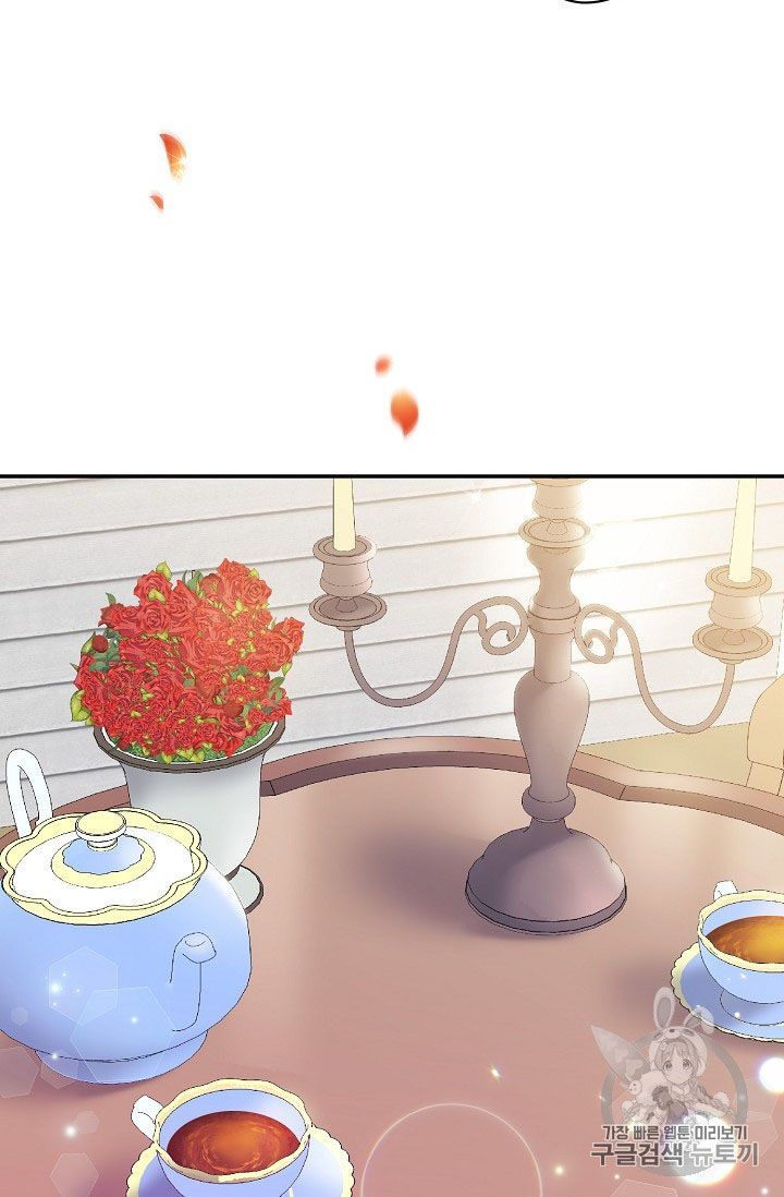 The Duchess 50 Tea Recipes 58 76