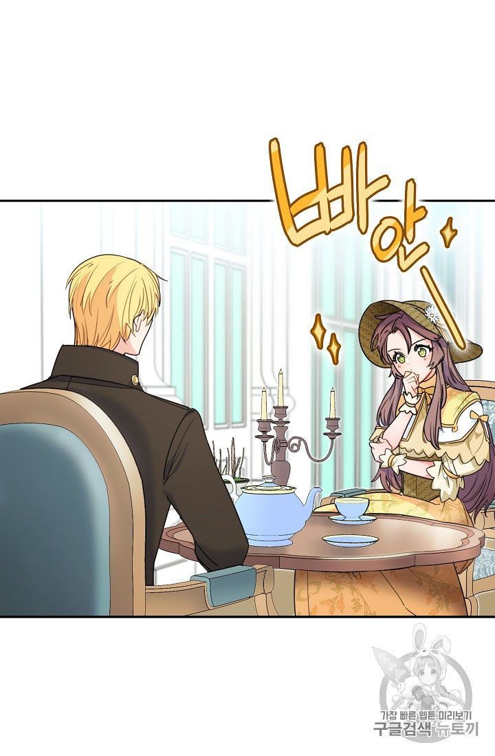 The Duchess 50 Tea Recipes 59 11