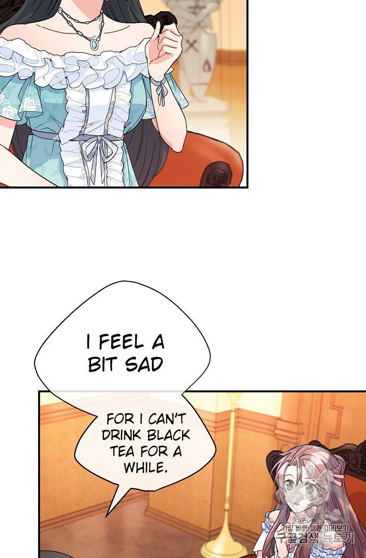 The Duchess 50 Tea Recipes 66 28