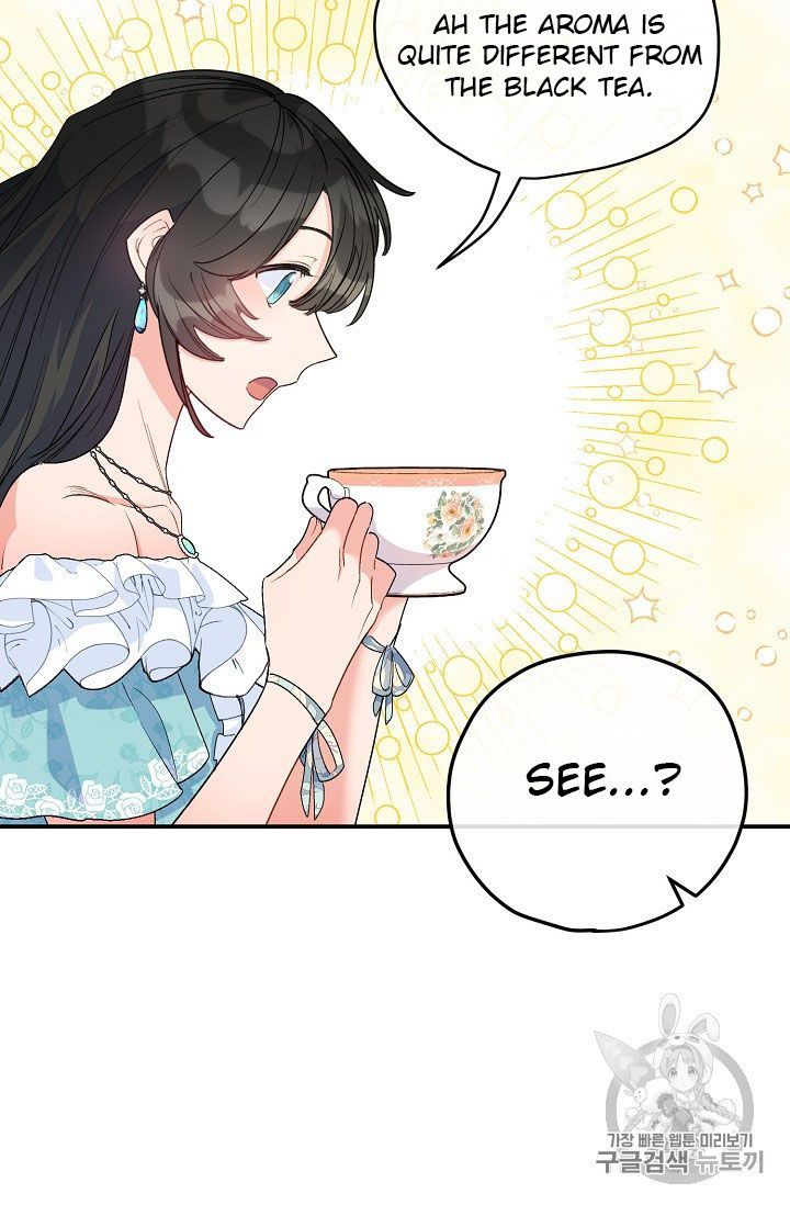 The Duchess 50 Tea Recipes 66 48