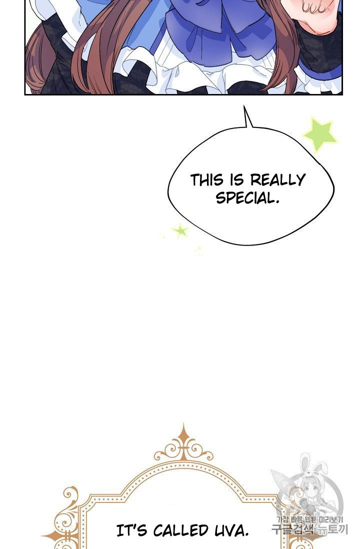 The Duchess 50 Tea Recipes 77 14