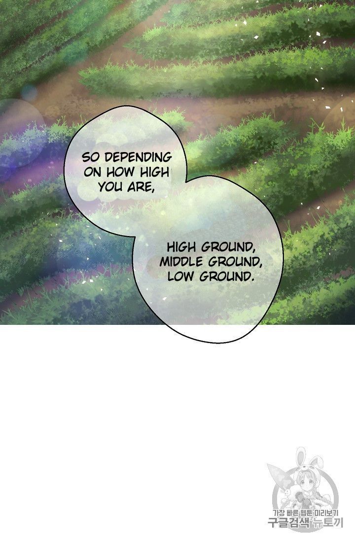 The Duchess 50 Tea Recipes 77 19