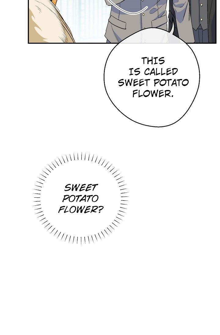 The Duchess 50 Tea Recipes 79 64