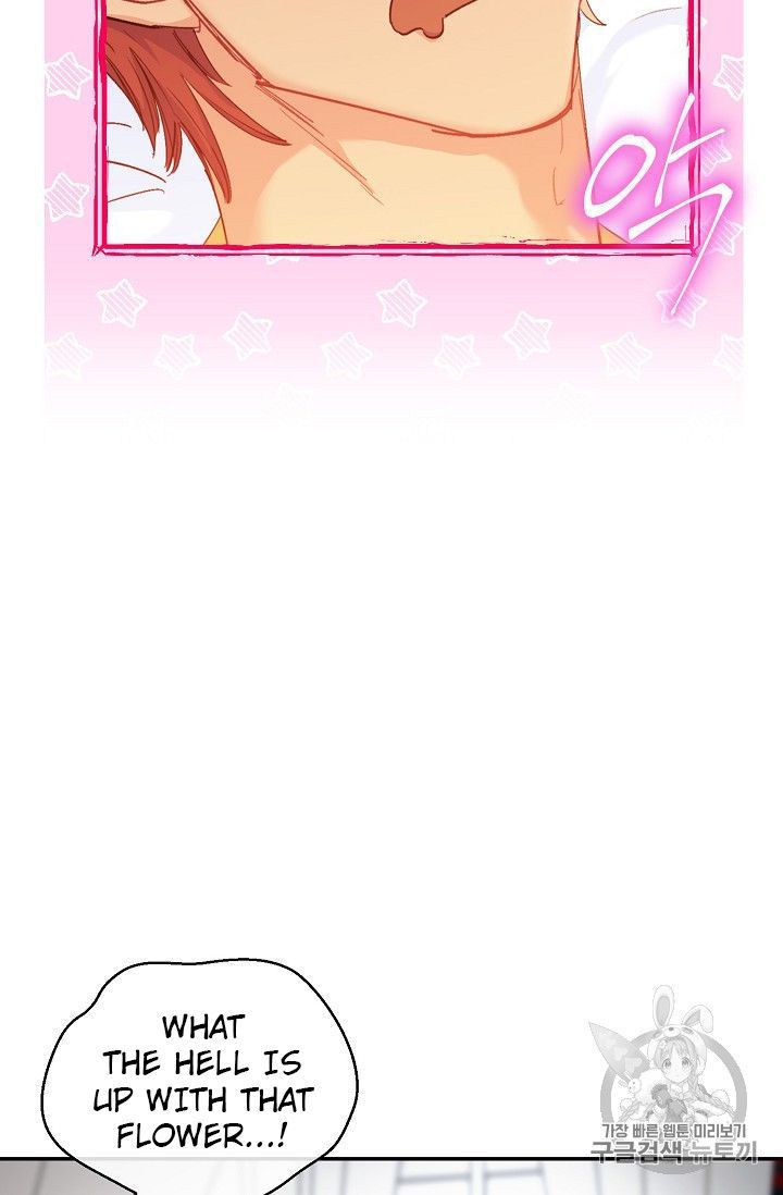 The Duchess 50 Tea Recipes 79 88