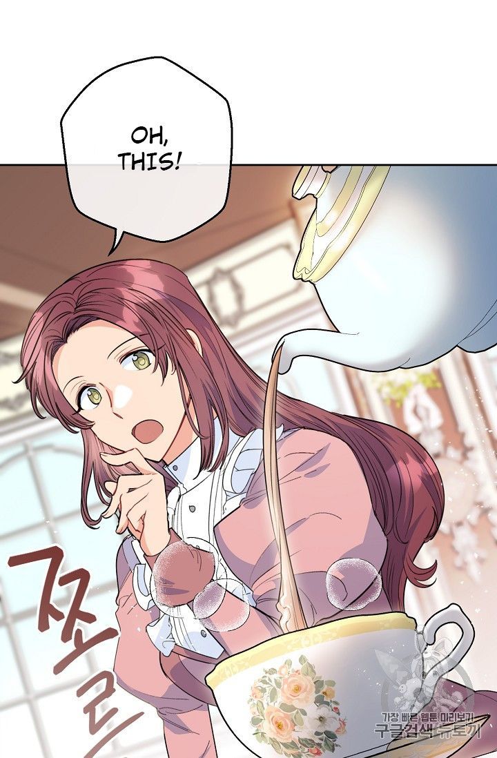 The Duchess 50 Tea Recipes 81 50