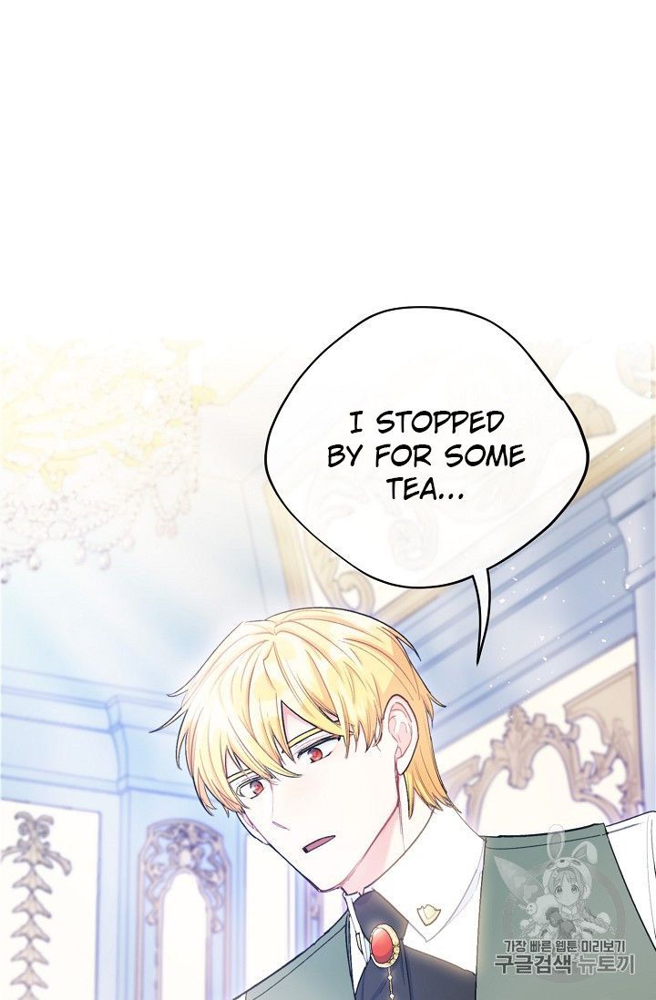 The Duchess 50 Tea Recipes 84 9