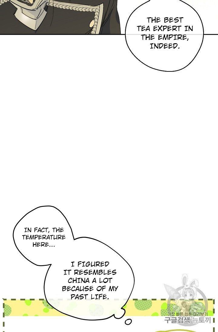 The Duchess 50 Tea Recipes 85 75