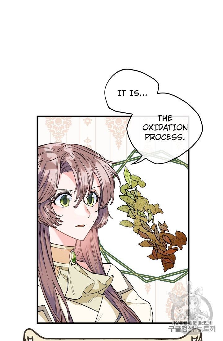 The Duchess 50 Tea Recipes 86 14