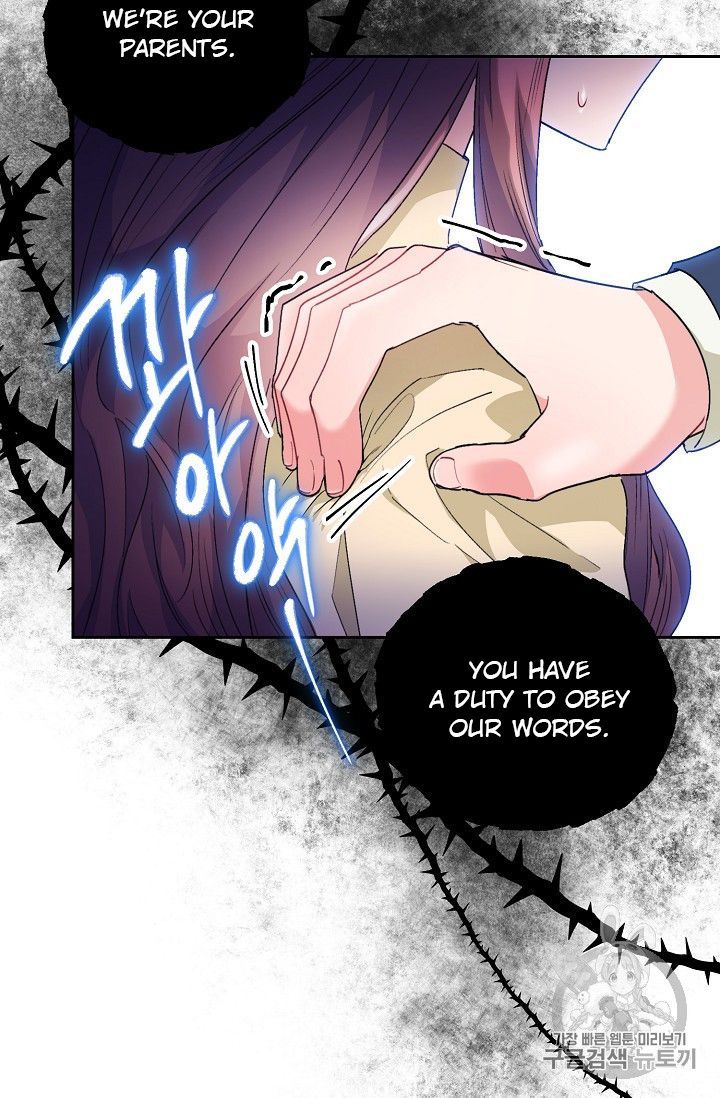 The Duchess 50 Tea Recipes 89 95