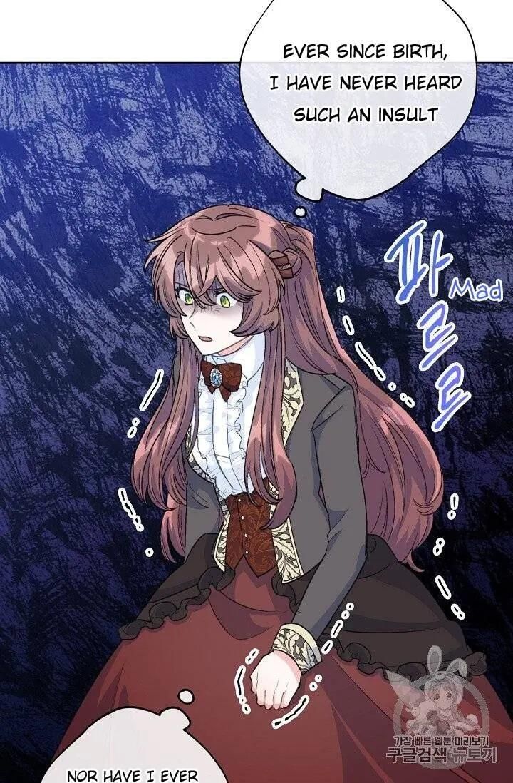 The Duchess 50 Tea Recipes 95 90