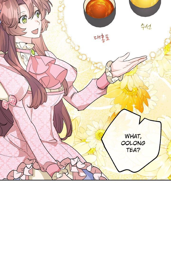 The Duchess 50 Tea Recipes 98 42