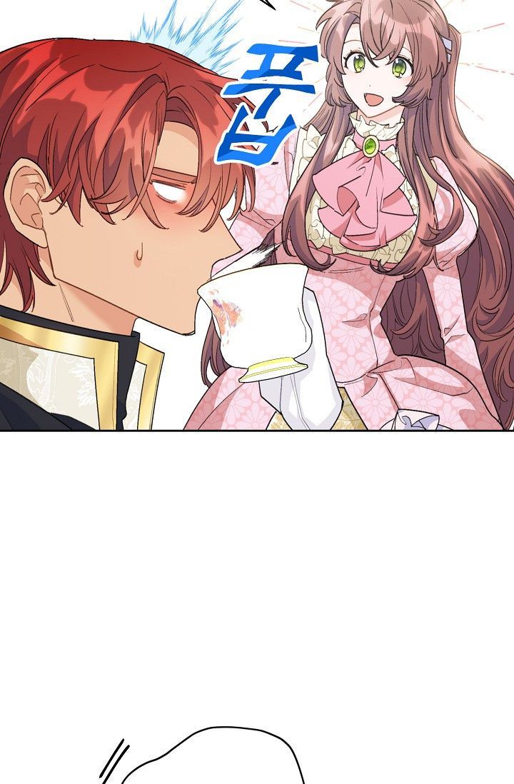 The Duchess 50 Tea Recipes 98 57