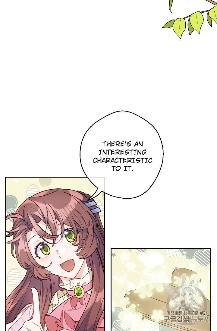 The Duchess 50 Tea Recipes 98 6