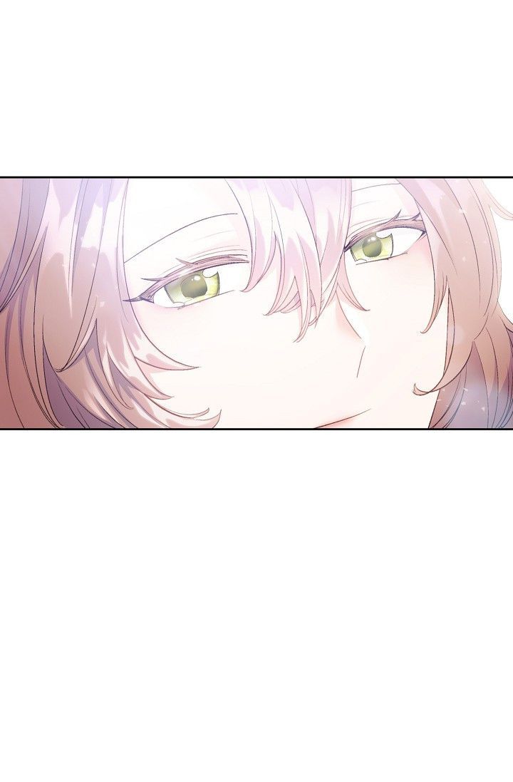 The Duchess 50 Tea Recipes 98 97