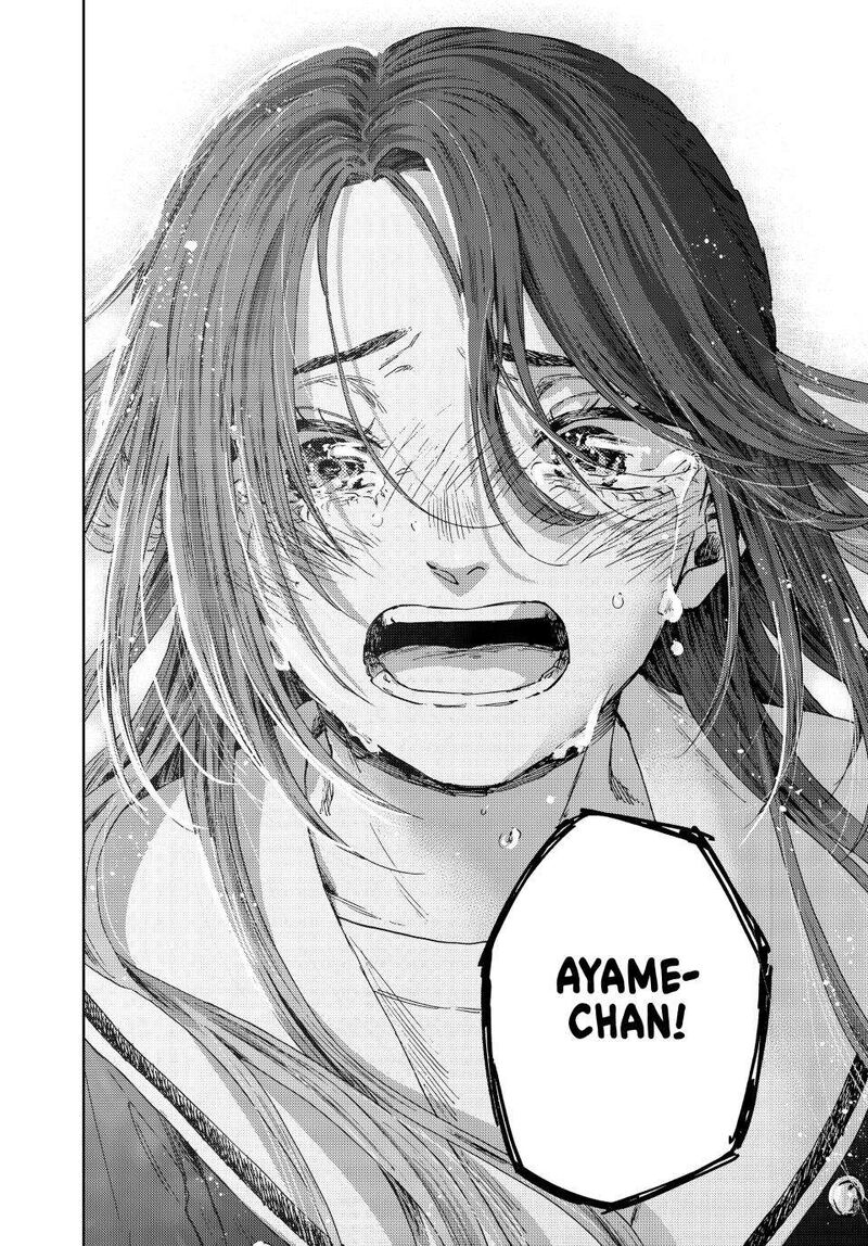 The Fragrant Flower Blooms With Dignity 185 20