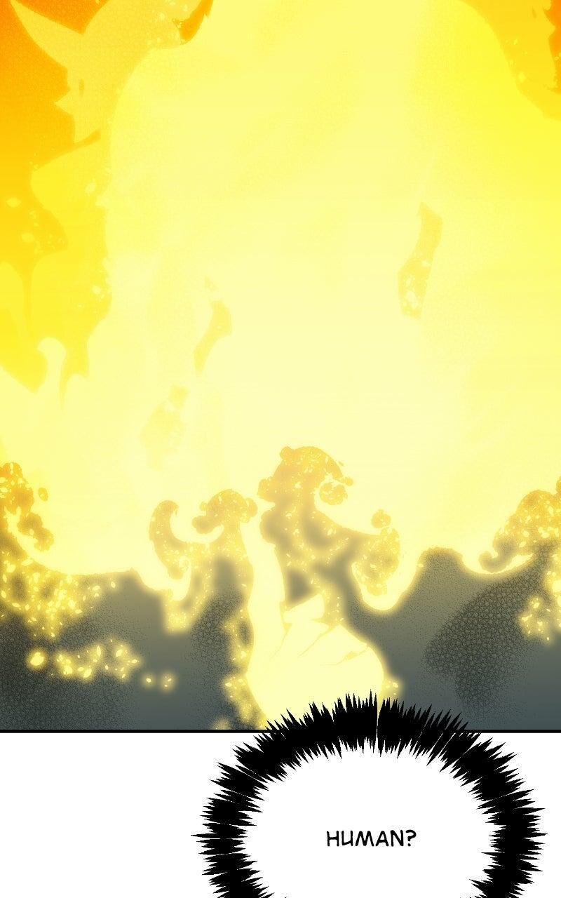 The Lone Necromancer 220 113