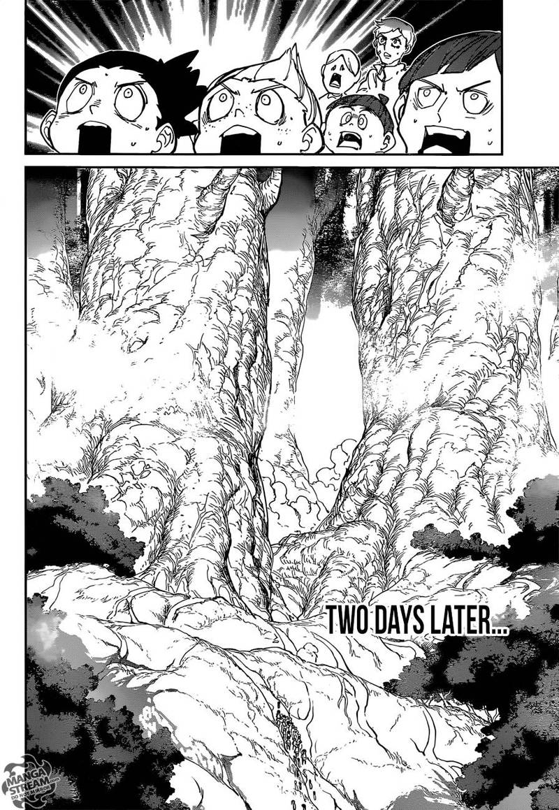 The Promised Neverland 118 5