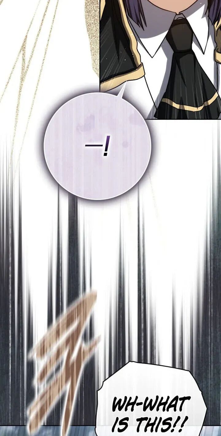 The Reincarnated Assassin Is A Swordmaster 95 26