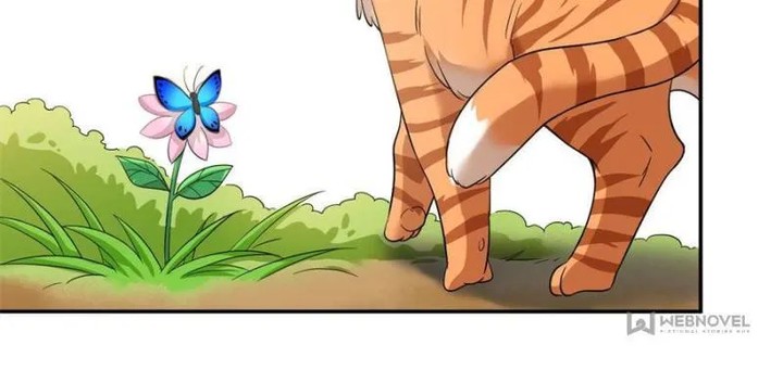 The Strong Man From The Mental Hospital 194 15