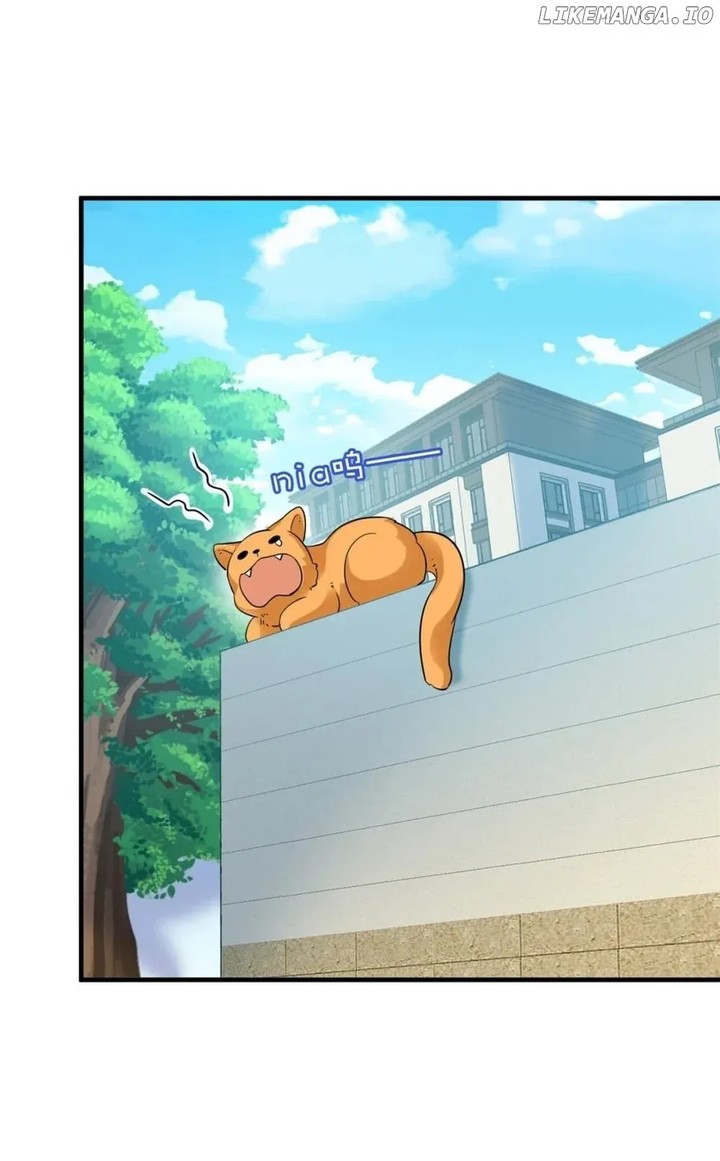 The Strong Man From The Mental Hospital 233 24