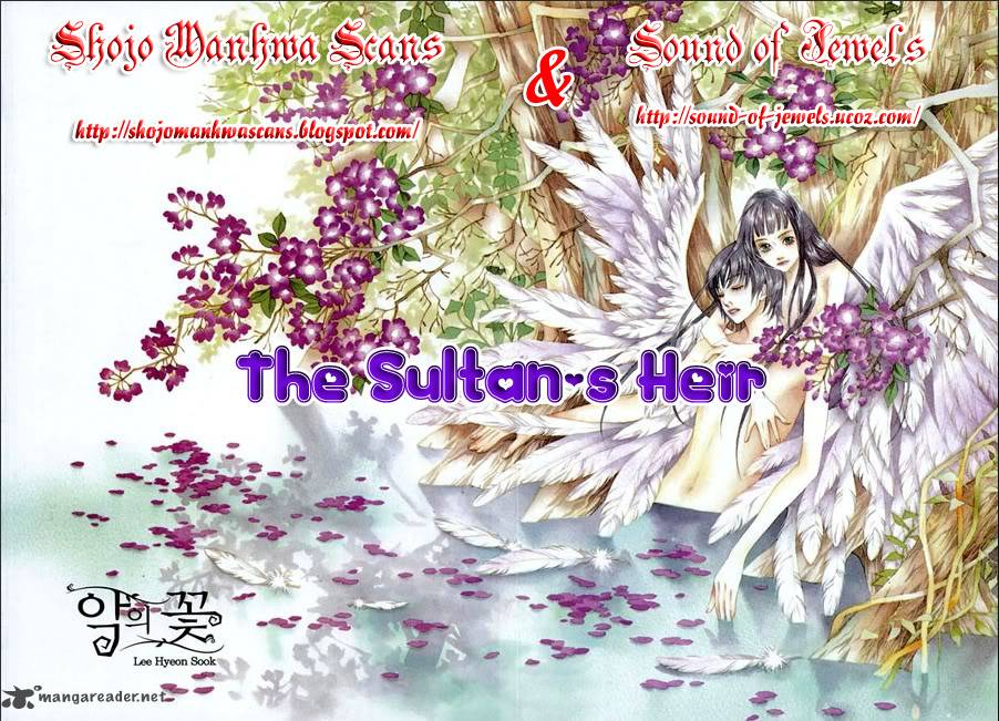 The Sultans Heir 1 2