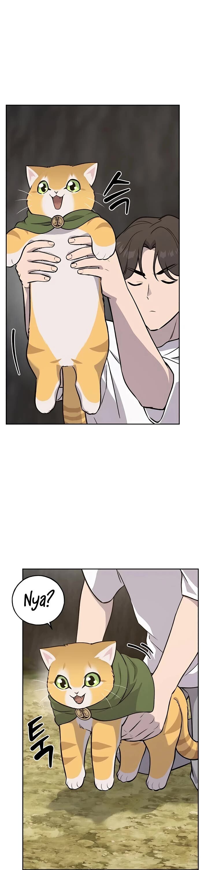 The Top Dungeon Farmer 23 13