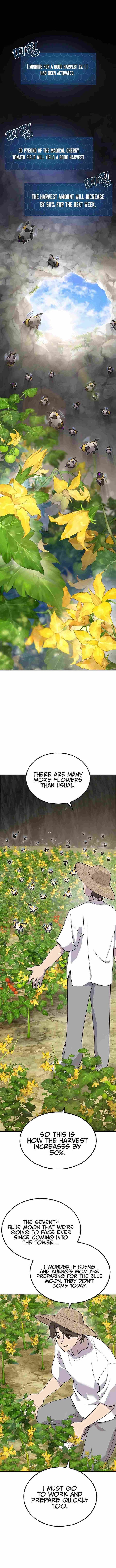 The Top Dungeon Farmer 31 1