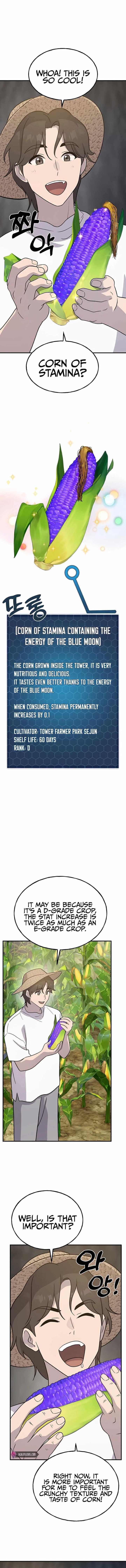 The Top Dungeon Farmer 31 16