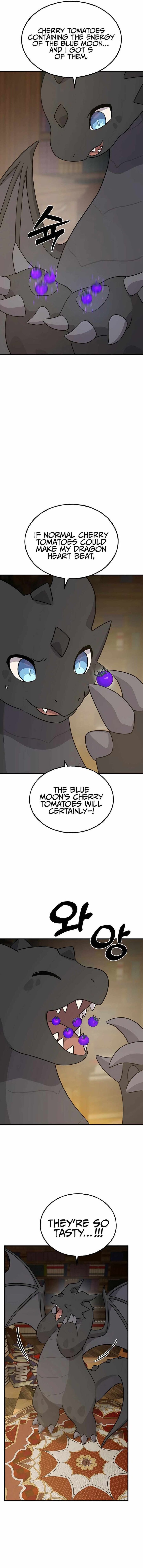 The Top Dungeon Farmer 31 18