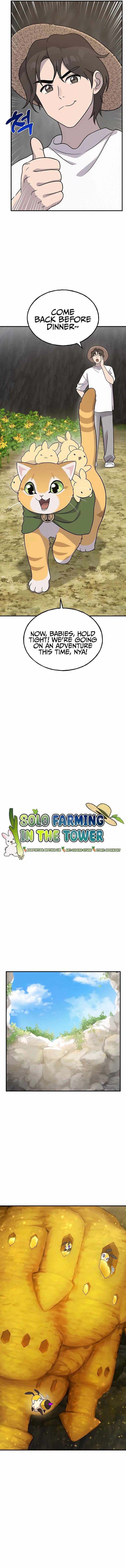 The Top Dungeon Farmer 31 4
