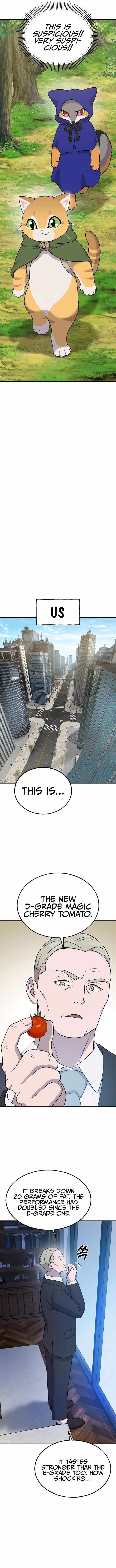 The Top Dungeon Farmer 36 17