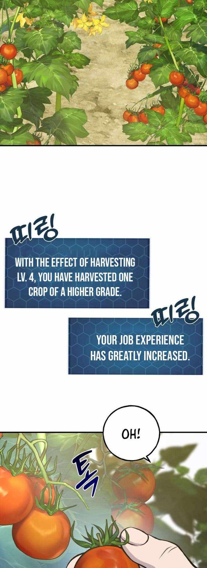 The Top Dungeon Farmer 72 75