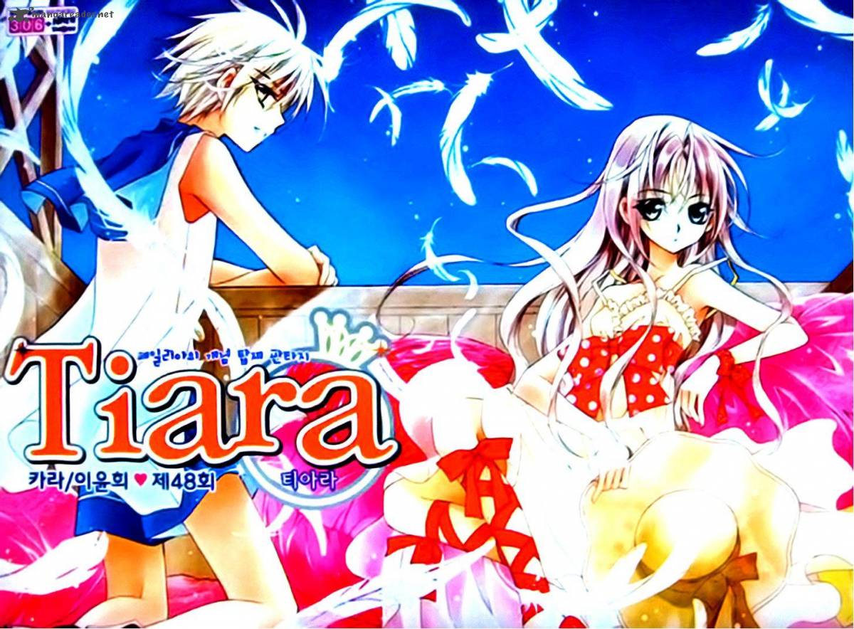 Tiara 48 3