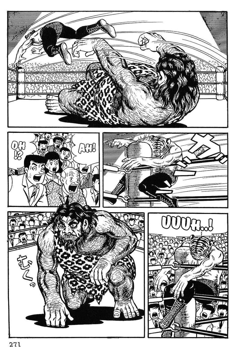 Tiger Mask 12 12