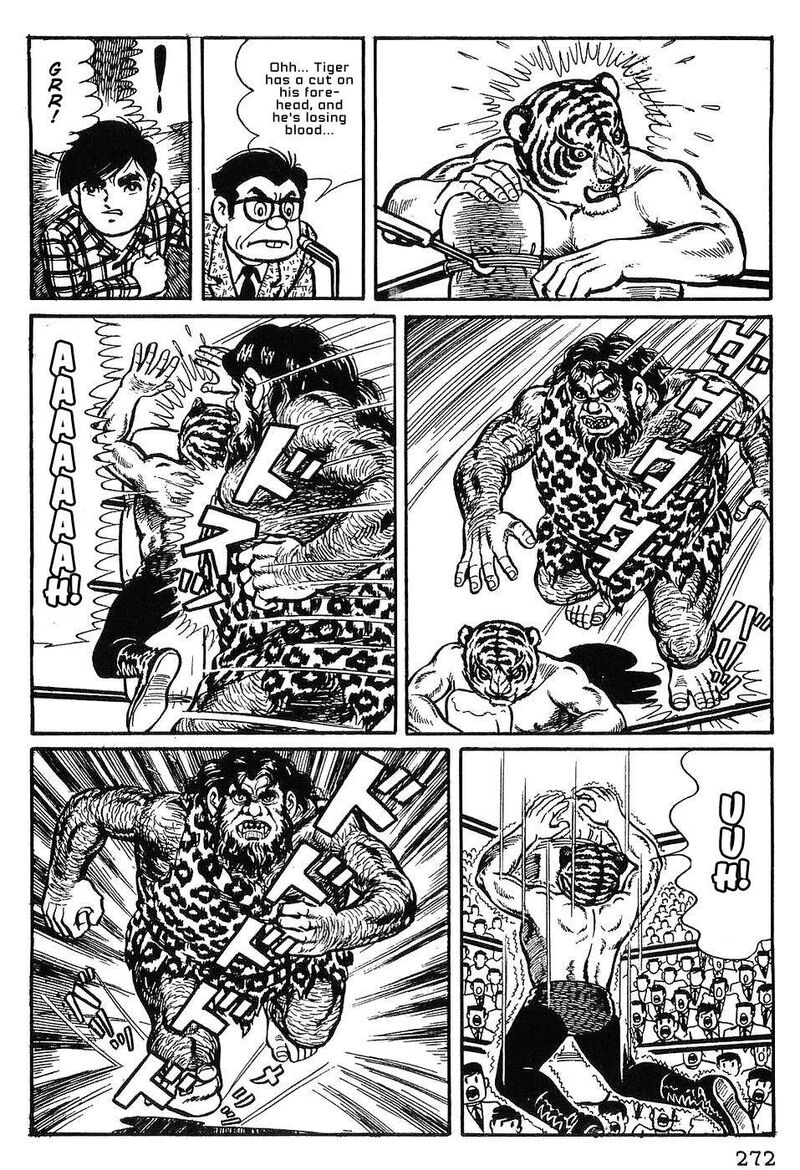 Tiger Mask 12 13