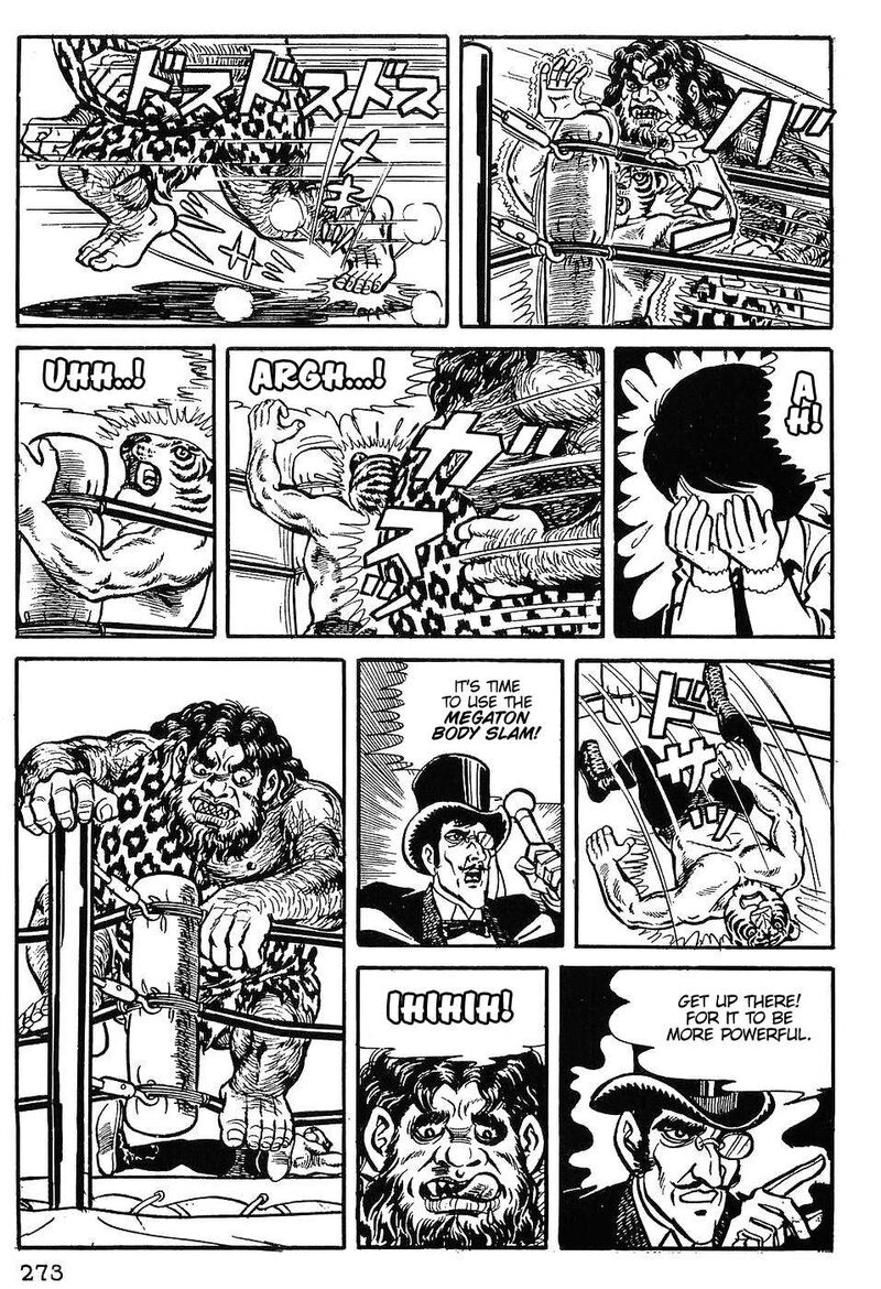 Tiger Mask 12 14