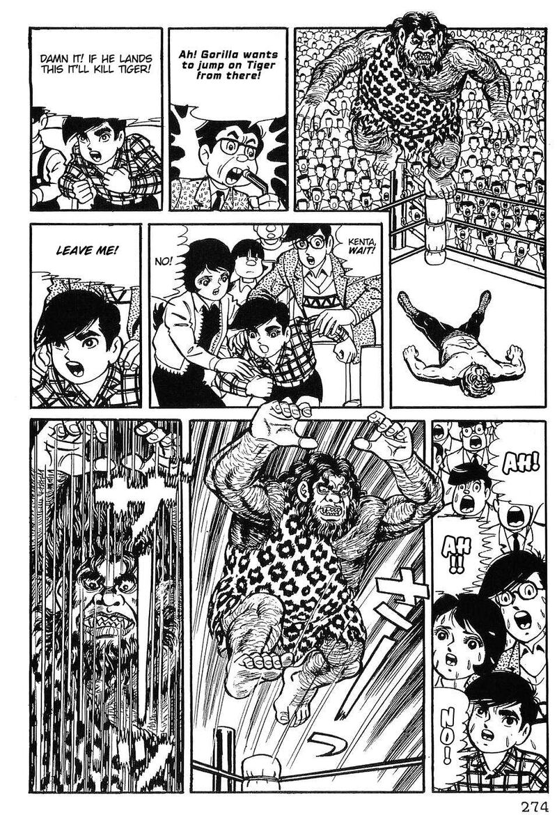 Tiger Mask 12 15